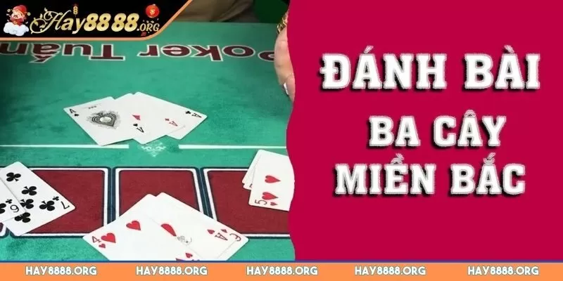 bai-3-cay-mien-bac-quy-trinh