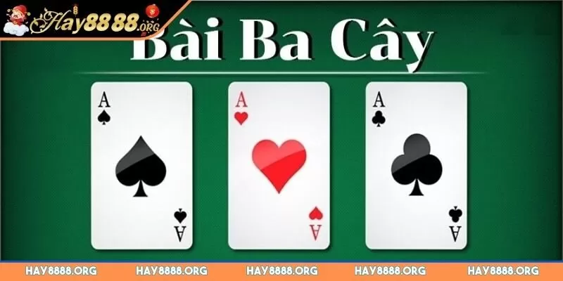 bai-3-cay-mien-bac-tim-hieu